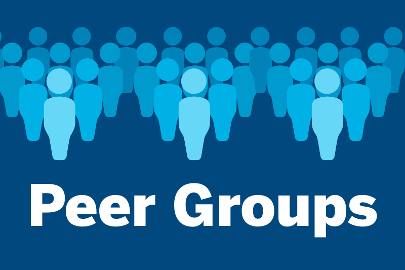 Peer Groups Graphic